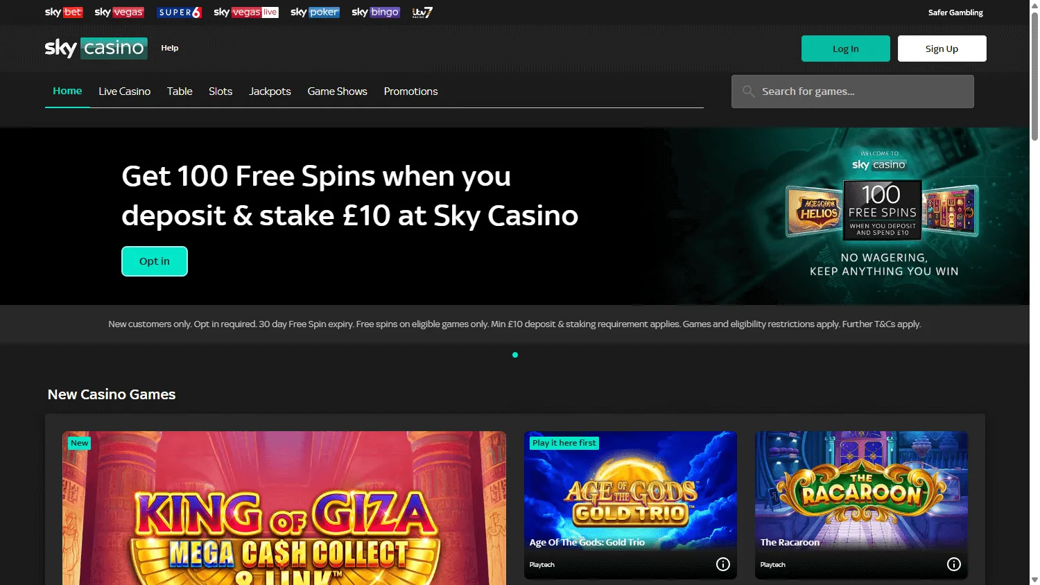 Sky Casino desktop home screen with casino promotions and game access